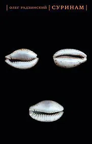 Купить Суринам — Фото №1