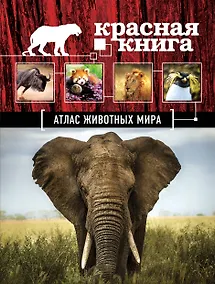 Купить Атлас животных мира — Фото №1