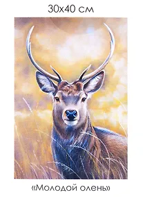Купить Набор для творчества. Алмазные узоры "Молодой олень", 30 х 40 см — Фото №1