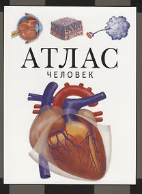 Купить Атлас. Человек — Фото №1