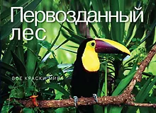 Купить Первозданный лес. Все краски мира — Фото №1