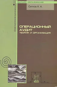 Купить Операционный аудит: теория и организация: Учебное пособие (ГРИФ) — Фото №1