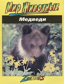 Купить Медведи — Фото №1