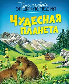 Купить Чудесная планета — Фото №1