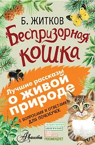 Купить Беспризорная кошка — Фото №1