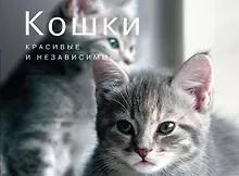 Купить Кошки. Красивые и независимые — Фото №1