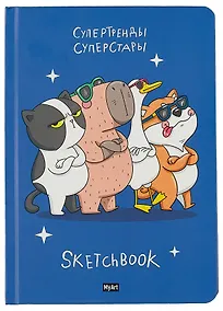 Купить Скетчбук 145*203 128л "Суперстары" 120г/м2, тв.обложка — Фото №1