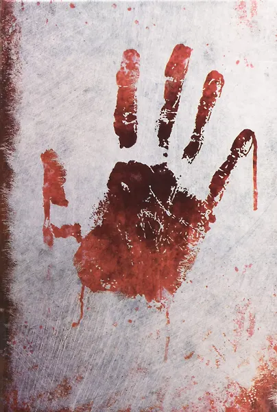 Купить Дневник Зомби — Фото №1