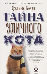 Купить Тайна уличного кота — Фото №1