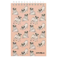 Купить Скетчбук «Забавные мопсы», А5, 80 листов — Фото №1