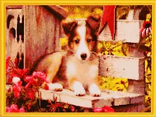 Купить Алмазная мозаика ТМ Рыжий Кот (класс.) 40х50см (24цв) Собачки в саду AC4047 — Фото №1