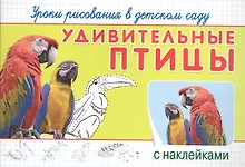 Купить Уроки рисования в детском саду. Удивительные птицы — Фото №1