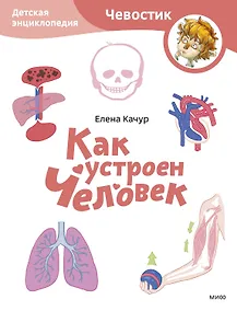 Купить Как устроен человек. Детская энциклопедия (Чевостик) (Paperback) — Фото №1