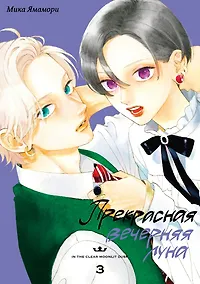 Купить Прекрасная вечерняя луна. Том 3 — Фото №1