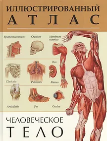 Купить Человеческое тело. Иллюстрированный атлас — Фото №1