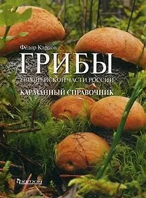 Купить Грибы Европейской части России — Фото №1