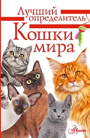 Купить Литература с видео-уроками — Фото №1