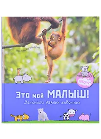 Купить Это мой малыш! Детеныши разных животных — Фото №1