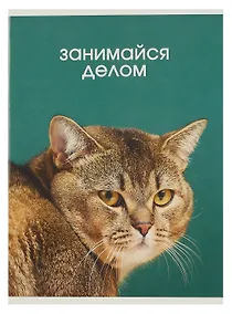 Купить Тетрадь в клетку Listoff, "Занимайся делом", А4, 80 листов — Фото №1