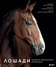 Купить Лошади. Портреты, вдохновленные Рембрандтом. Эксклюзивный фотоальбом — Фото №1