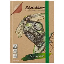 Купить Скетчбук 145*203 80л "Дикий мир" крафт бумага., тв.подложка, резинка — Фото №1