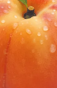 Купить Блокнот с нежным персиком (А5, мягкая обложка, 32 л.) — Фото №1