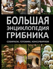 Купить Большая энциклопедия грибника. Собираем, готовим, консервируем. — Фото №1