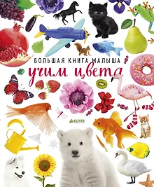 Купить Большая книга малыша. Учим цвета — Фото №1