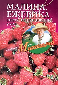 Купить Малина, ежевика. Сорта, выращивание, уход. — Фото №1