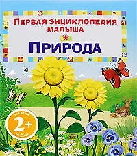 Купить Природа — Фото №1