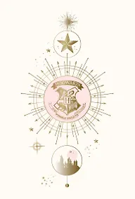 Купить Обложка для паспорта «Хогвартс» — Фото №1