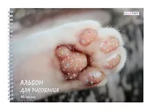 Купить Альбом для рисования Listoff, "Пушистая лапка", А4, 40 листов, на гребне — Фото №1