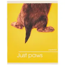 Купить Тетрадь в клетку Listoff, "Лапки", 48 листов, в ассортименте — Фото №1