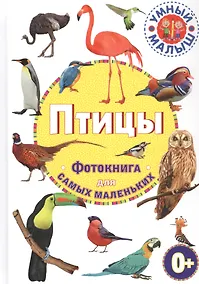 Купить Птицы. Фотокнига для самых маленьких — Фото №1