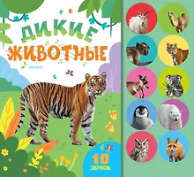 Купить Дикие животные — Фото №1