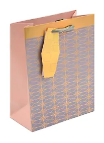 Купить Пакет А5 23*18*10 "Графический принт" нейтр., бум.мат.ламинат — Фото №1