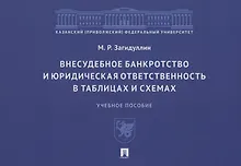 Купить Внесудебное банкротство и юридическая ответственность в таблицах и схемах — Фото №1