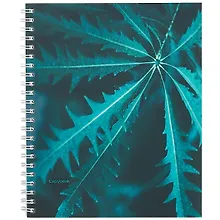 Купить Тетрадь в клетку «Изумрудные оттенки»‎, А5, 96 листов — Фото №1