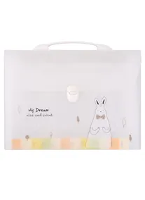 Купить Портфель А4 13отд. "My dream" пластик, ассорти — Фото №1