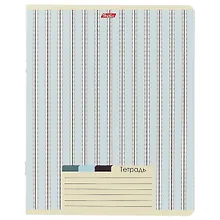 Купить Тетрадь в линейку Hatber, LINE, 24 листа, в ассортименте — Фото №1