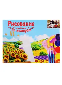 Купить Набор для раскрашивания по номерам ТМ Рыжий Кот Холст Вислоухий щенок 30х40см Х-9102 — Фото №1