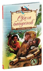 Купить Скала бабуинов — Фото №1