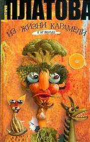 Купить Из жизни карамели: роман — Фото №1