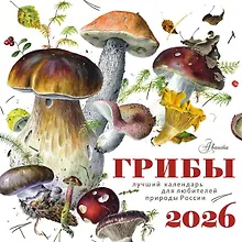 Купить Календарь 2026г 290*290 "Грибы" настенный, на скрепке — Фото №1