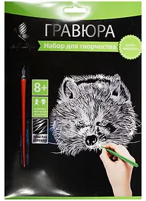 Купить Набор д/творч. Гравюра серебро Енот (HY340001129g) (18х24 см)(8+) (Hobby and you) — Фото №1