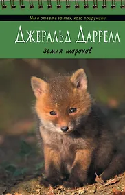 Купить Земля шорохов — Фото №1