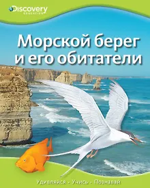 Купить Морской берег и его обитатели — Фото №1