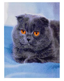 Купить Алмазная мозаика с подрамником, с полным заполнением "Пушистый британец", 30 х 40 см — Фото №1