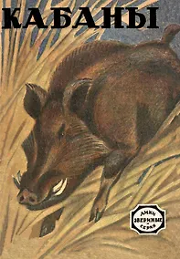 Купить Кабаны — Фото №1