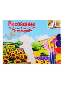 Купить Набор для раскрашивания по номерам ТМ Рыжий Кот Холст Осенний Париж 30х40см Х-9122 — Фото №1